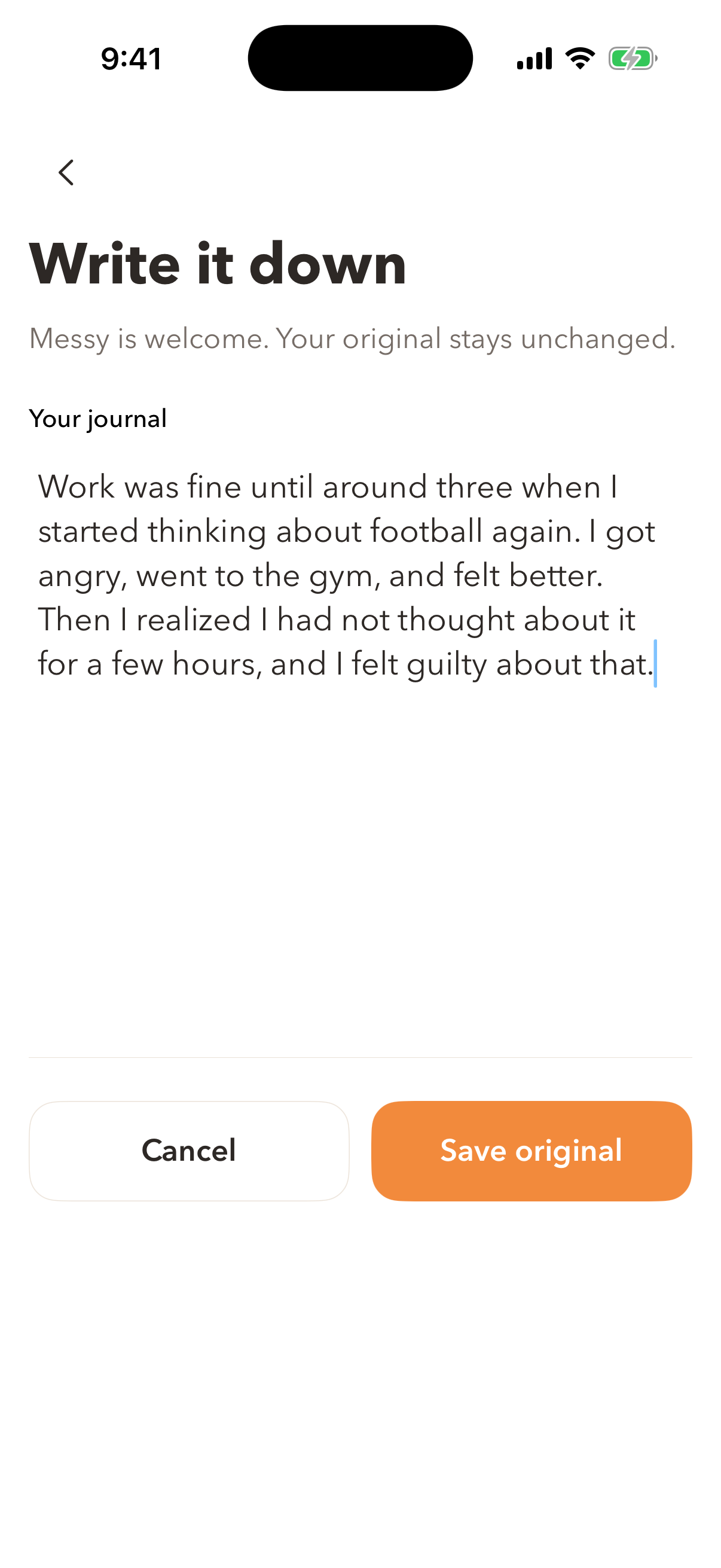 iOS Text journal