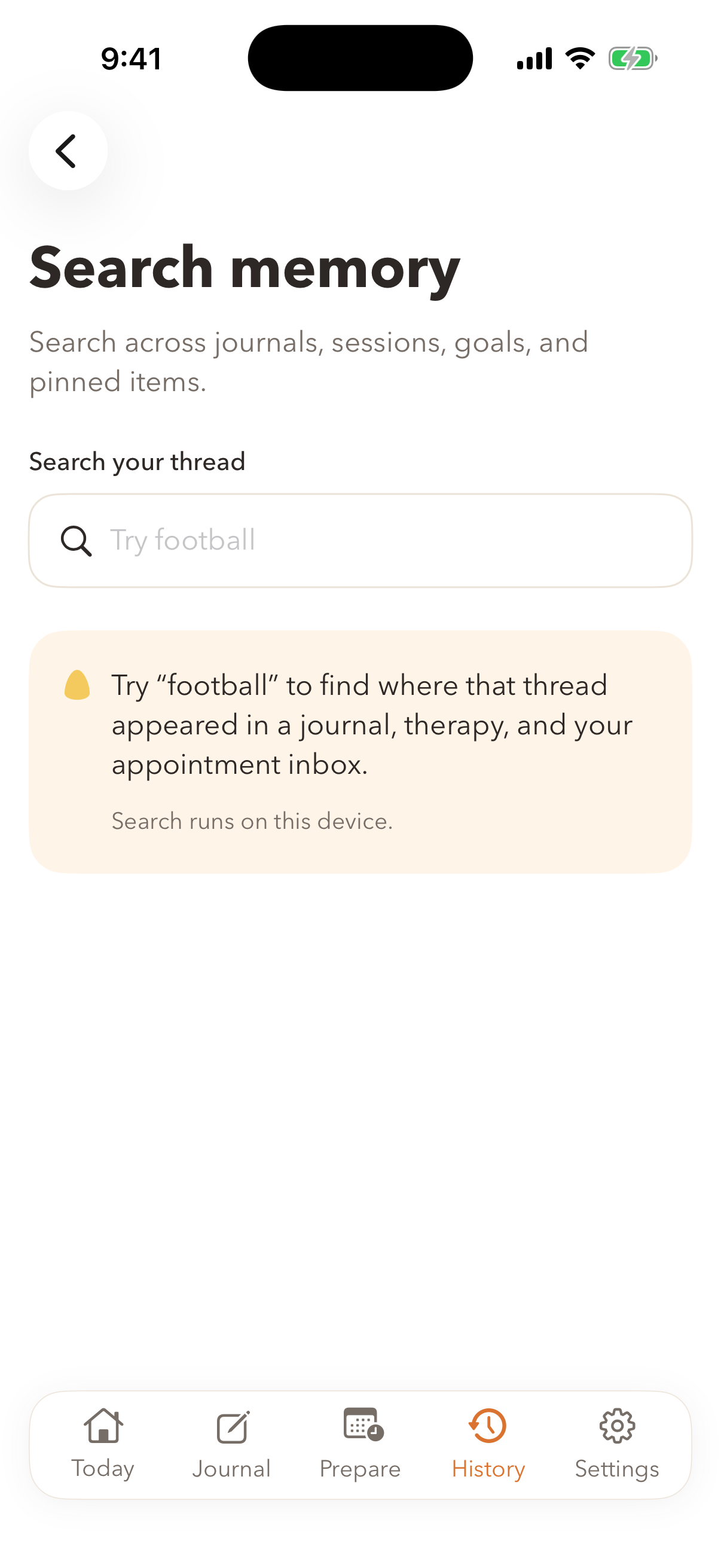 iOS Search